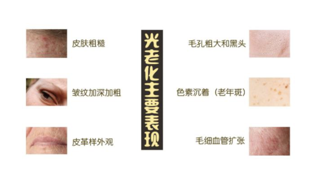 2.png 图片