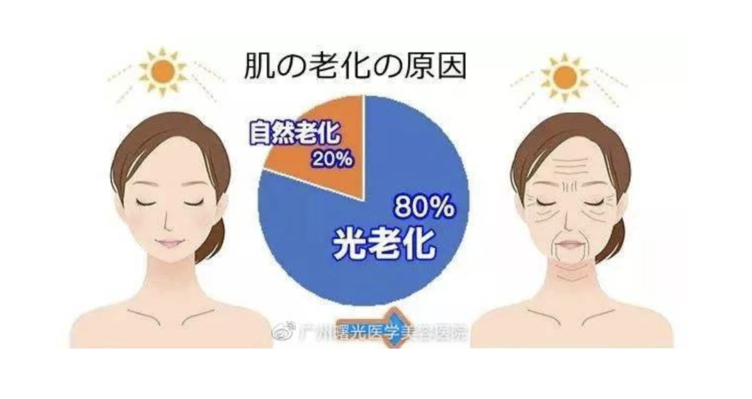 1.png 1.png