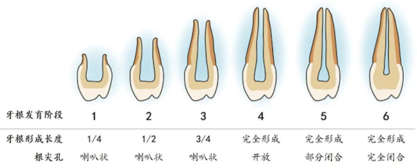 图片4.jpg 图片4.jpg