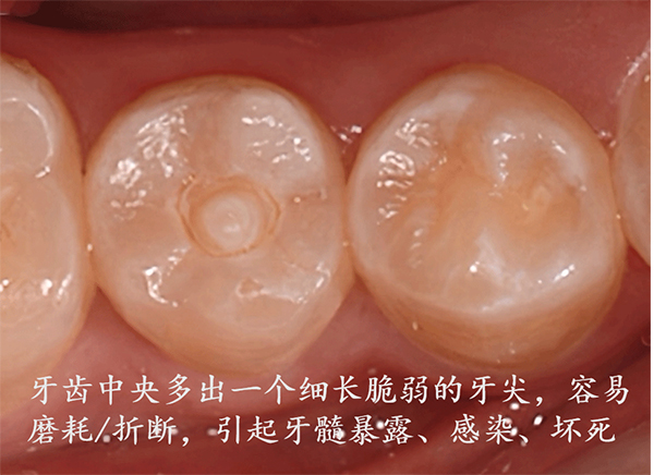 图片8.jpg 图片8.jpg