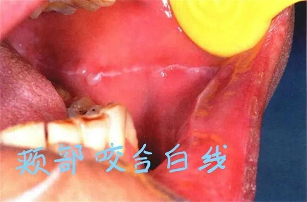 图片 24.jpg