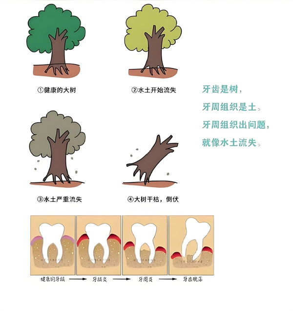 图片 43.jpg 图片 43.jpg