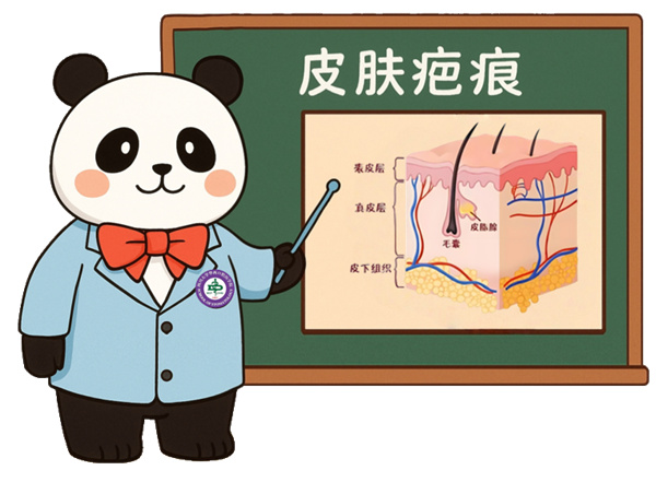 图片 93.jpg 图片 93.jpg