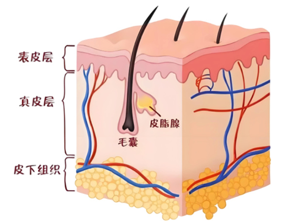 图片 94.jpg 图片 94.jpg