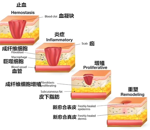 图片 96.jpg 图片 96.jpg