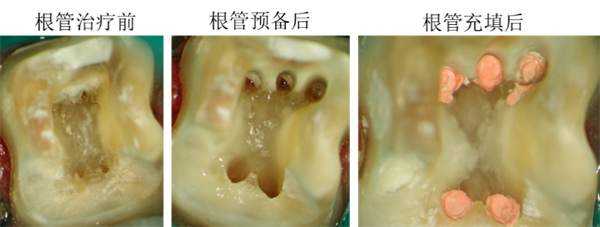图片 107.jpg 图片 107.jpg